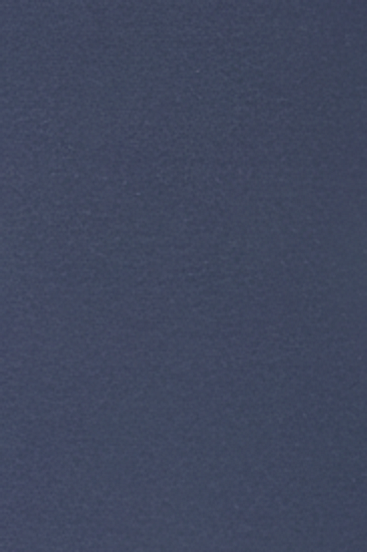 Korte Broek Navy "Finn" - Flexx, close-up stofstructuur De Heerenkamer